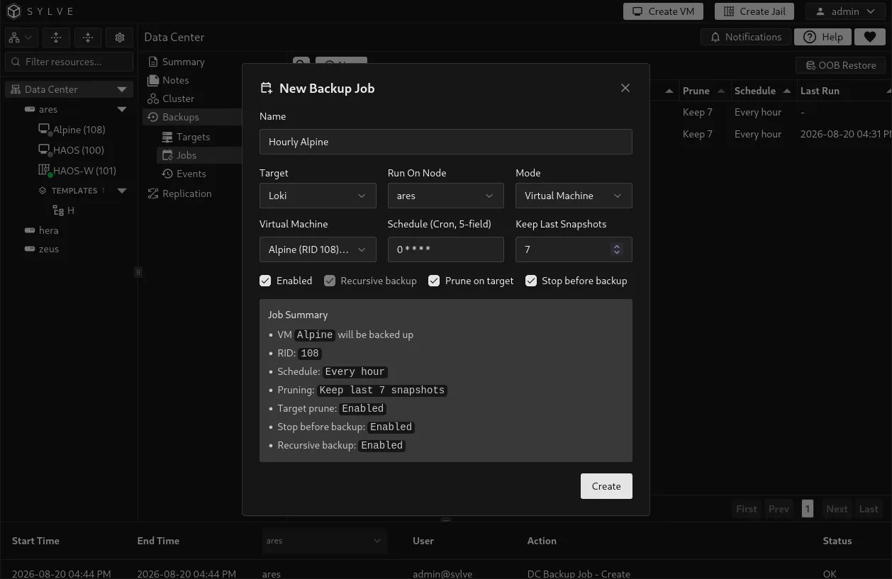 Virtual machine backup job form with a guest source and guest-specific backup options.