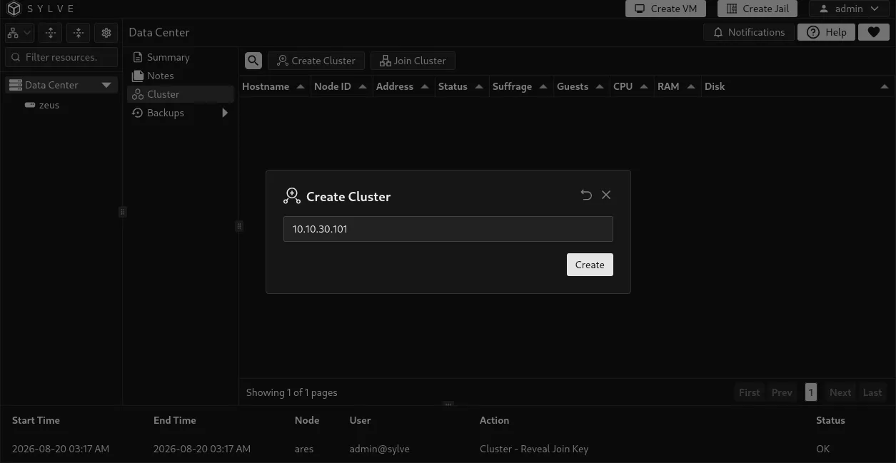 Create Cluster dialog with the initial node’s cluster IP address