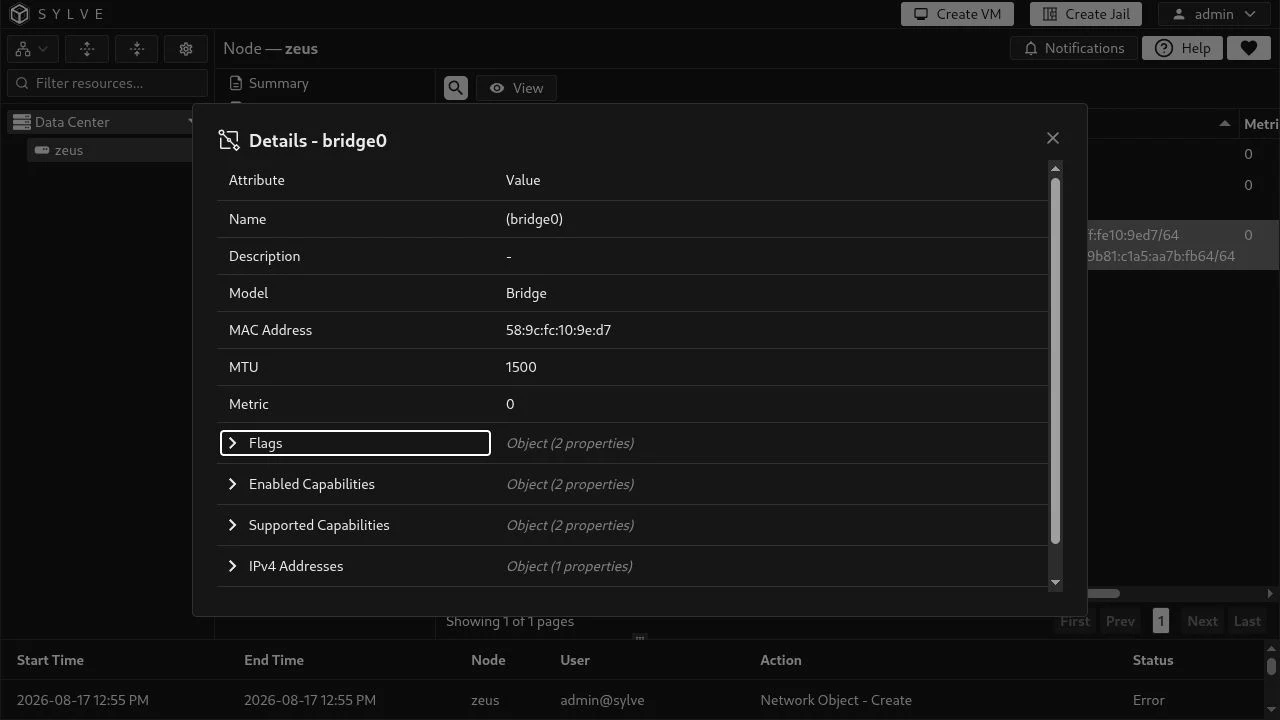 Details modal for bridge0 showing its identity, MTU, metric, flags, capabilities, and address groups