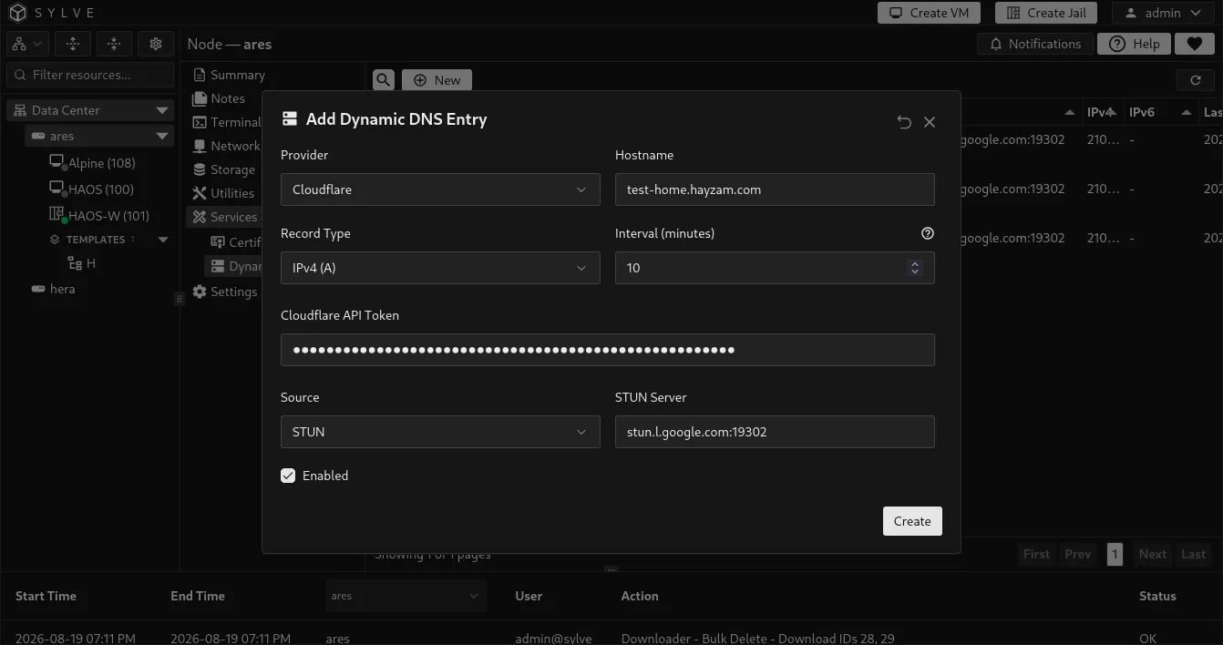 Add Dynamic DNS Entry form configured with a provider, hostname, record type, update interval, credential, and address source