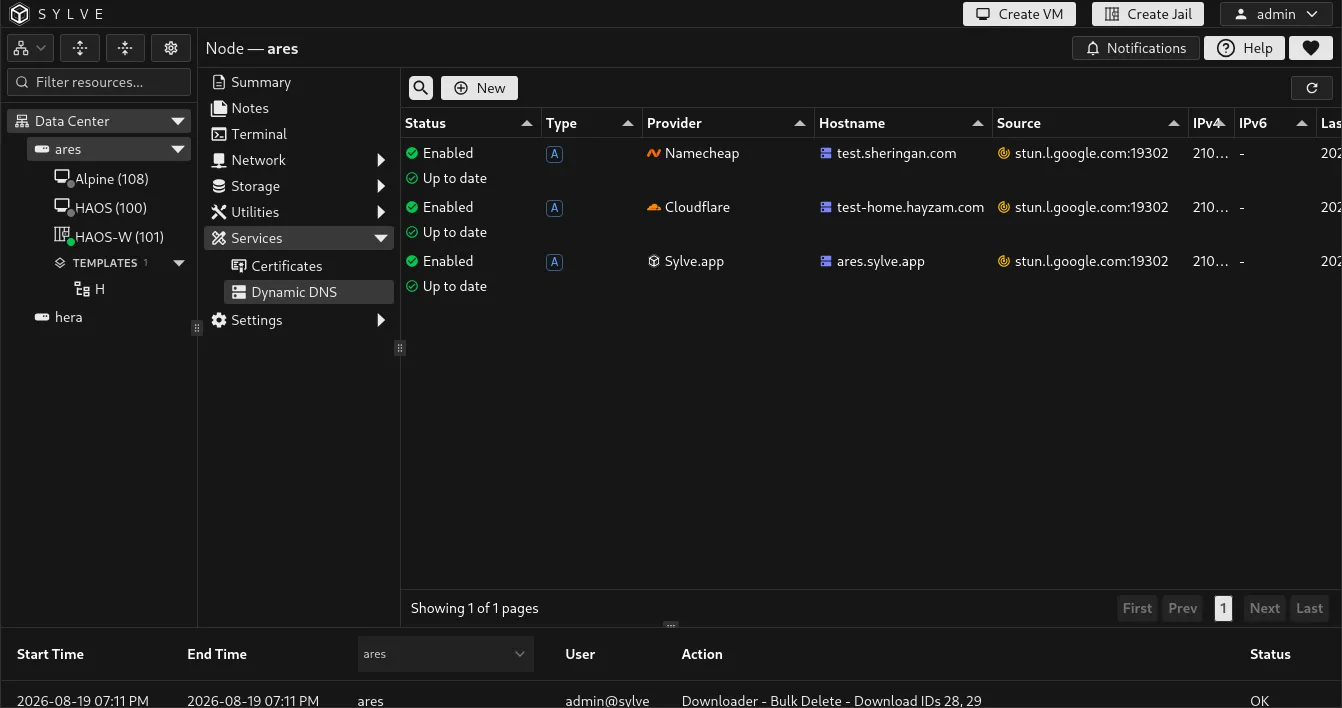Dynamic DNS table with provider, record type, source, published addresses, and synchronization status