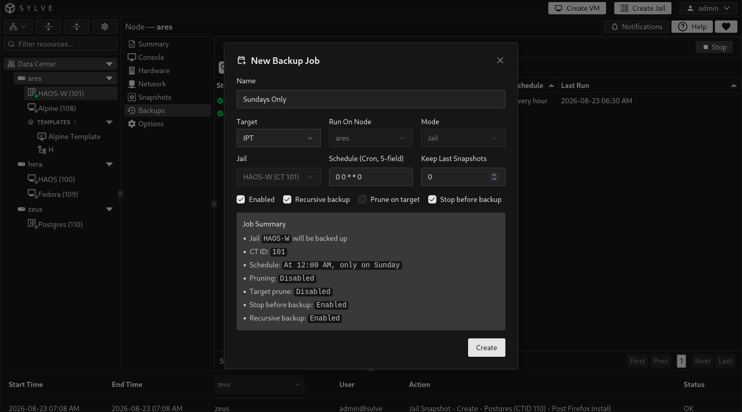 Jail-scoped backup job form with target, schedule, retention, recursive backup, pruning, and stop-before-backup options