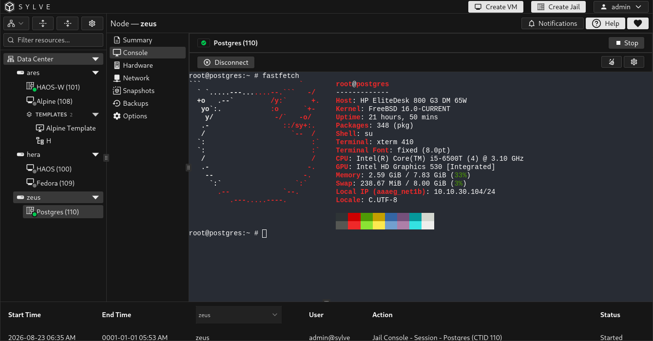 Jail Console page showing an active interactive root shell and its connection controls