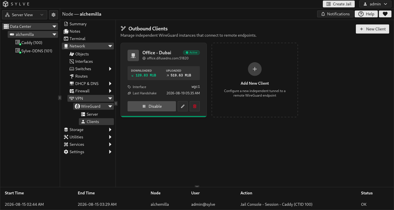 WireGuard Clients page showing outbound tunnel cards with interface names, endpoint status, assigned addresses, and transfer counters